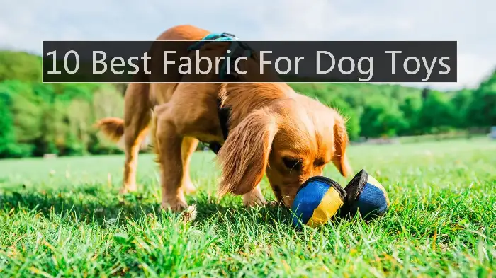 Best Fabric For Dog Toys