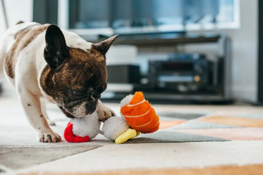 Build a Breed-and-Chew Profile Matrix