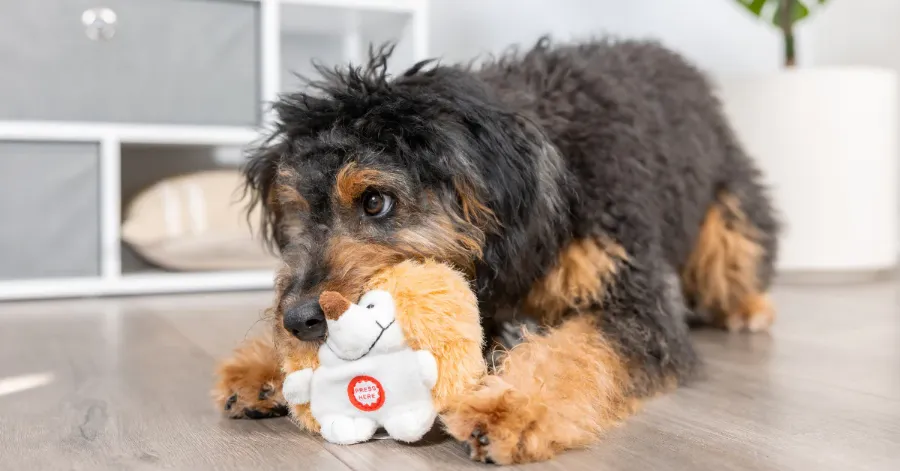 Dog Plush Toy