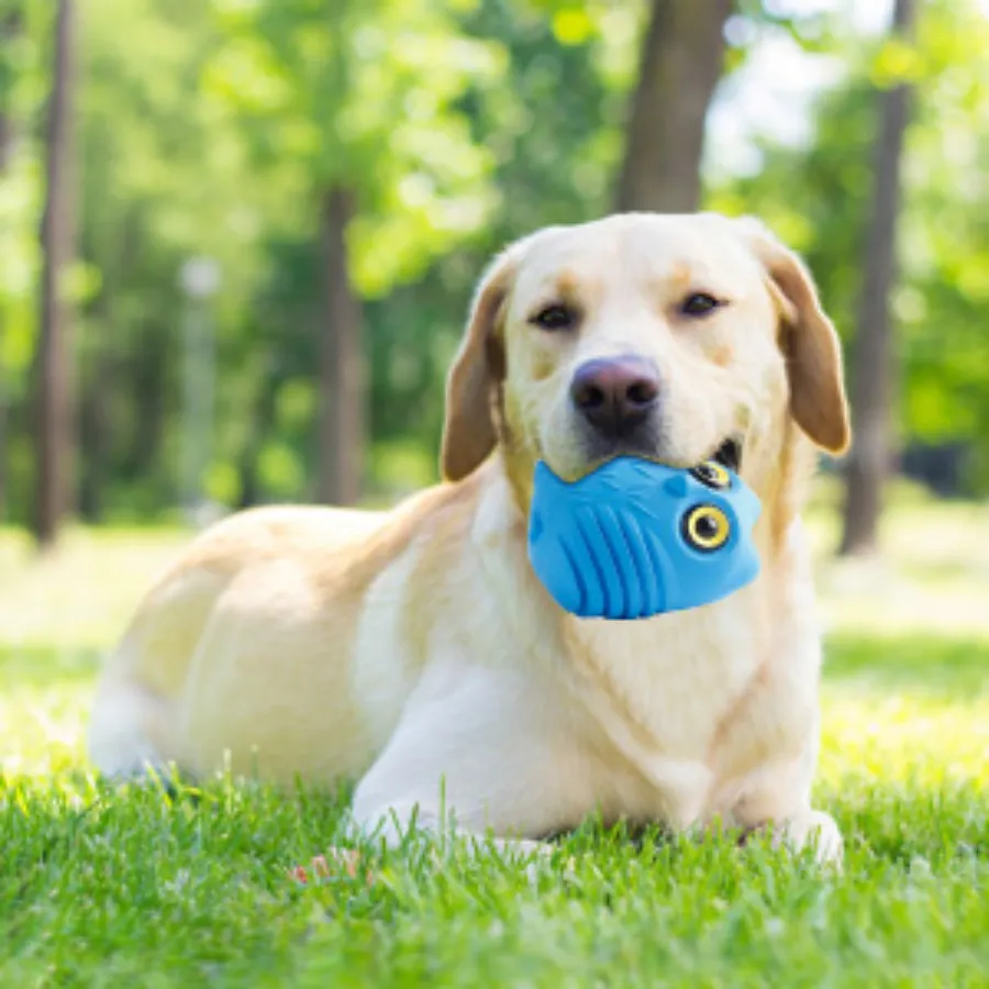 Dog Safety-Tested Toy