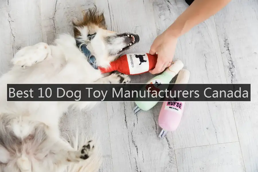 Dog Toy Manufacturers Canada