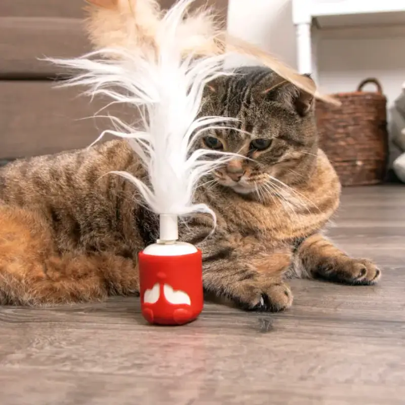 Electronic Motion Cat Toys