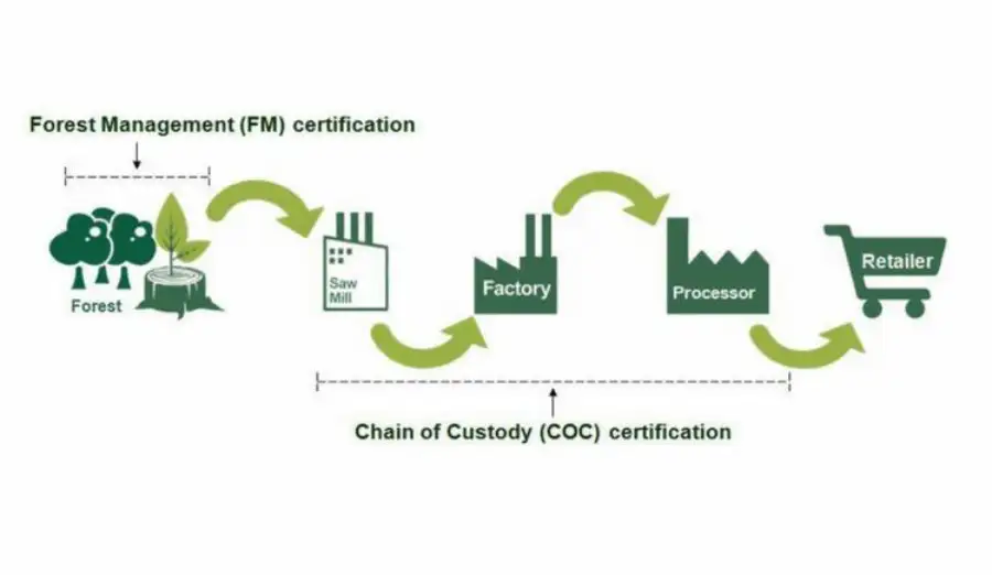 FSC-Certified Toy Manufacturing