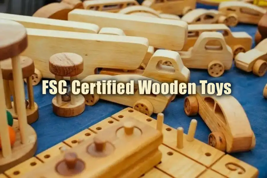 FSC Certified Wooden Toys