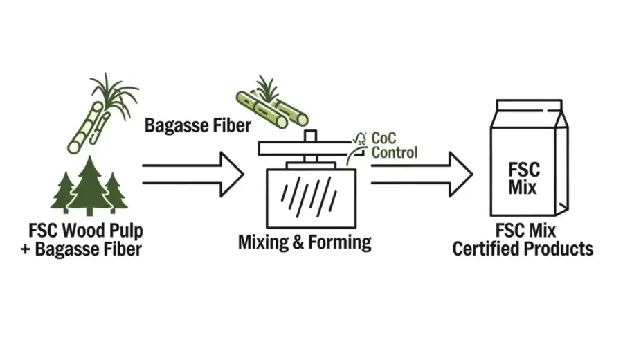 How FSC Certification Actually Works