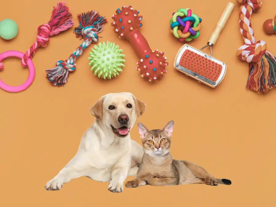 How to Vet a Pet Toy Manufacturer