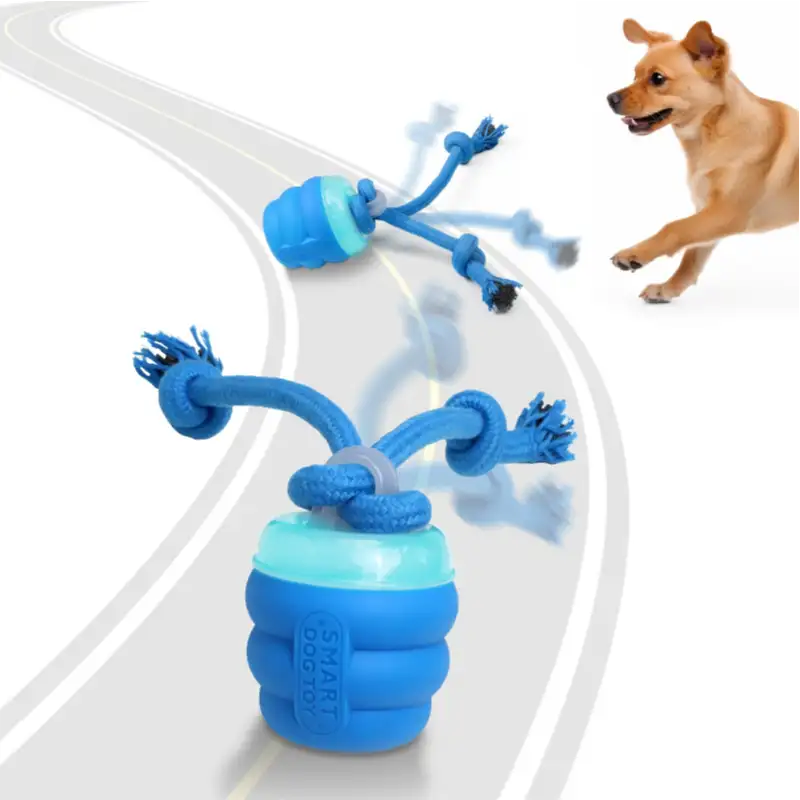Interactive Toys