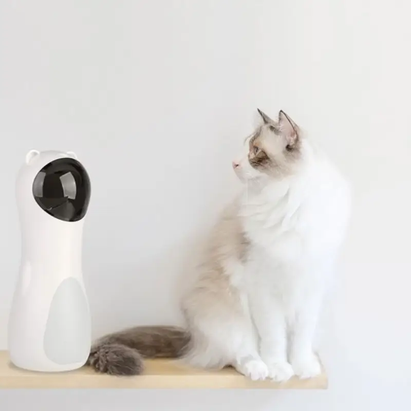 Laser Toys for Cats