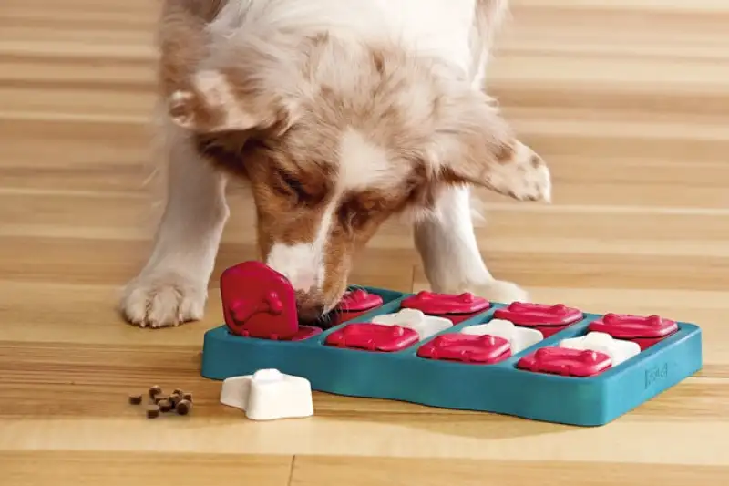 Puzzle Toys