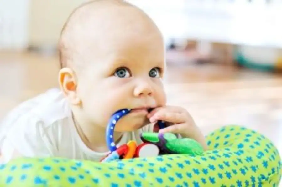 Pvc Toys For Infants