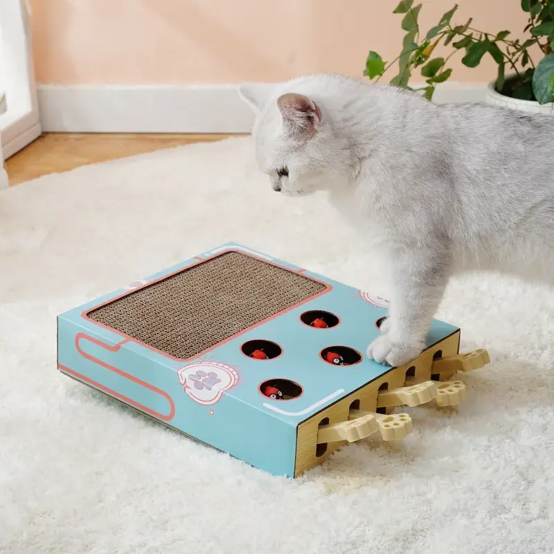 Scratch-and-Play Toys