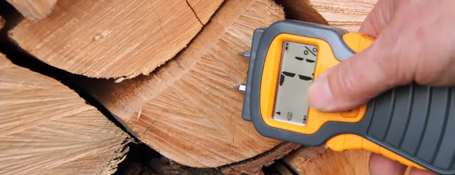 Wood Species + Moisture Content