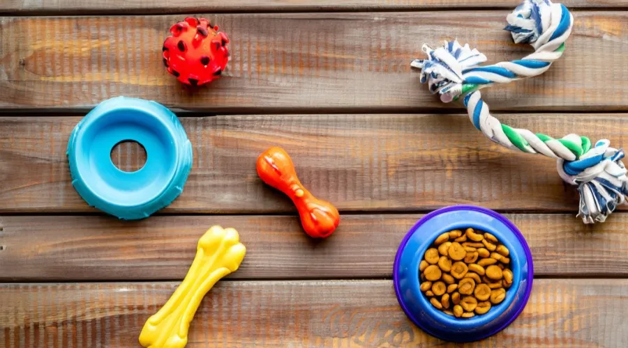 How Dog Toys Color Drives Play? The Physics and Factory Floor Reality