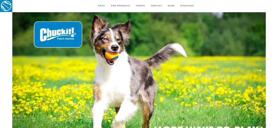 Chuckit! 