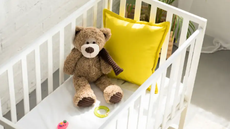 CPSIA Compliance for Plush Toys: Ensure Trusted Quality