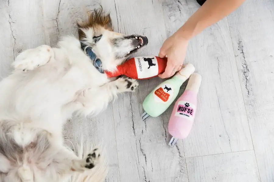 Best 10 Dog Toy Manufacturers Canada: Your Profit Playbook
