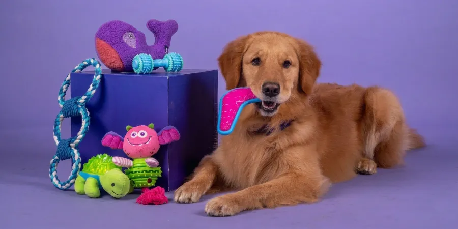 How to Choose Dog Toys – 6 Secret Tips for Perfect Picks