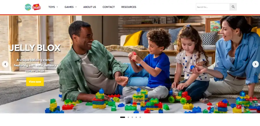 Vivid Toy Group