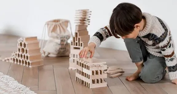 FSC-Certified Beech Wood — eco-friendly material