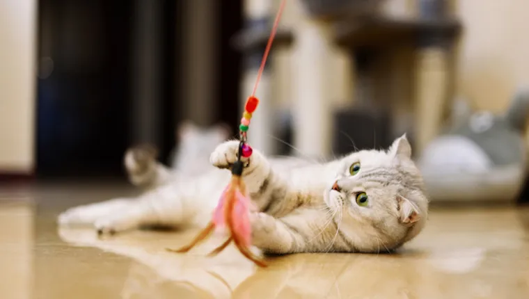 Customer showcasing custom catnip plush toy from LeelineToys factory