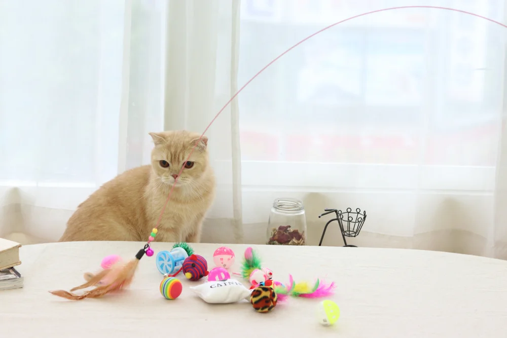 Happy client holding eco-friendly cat scratching pad made by LeelineToys