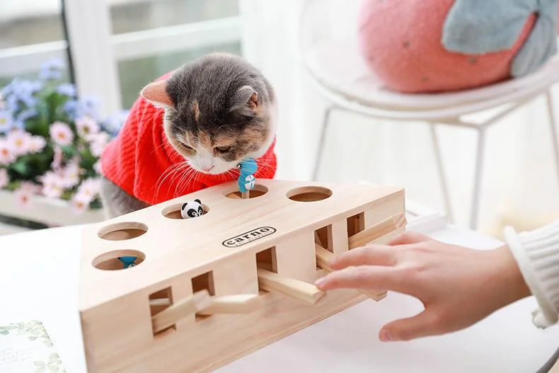 Brand founder with custom interactive puzzle cat toy produced by LeelineToys
