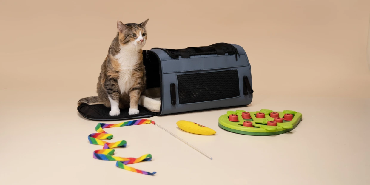 Customer displaying custom cat tree and condo from LeelineToys