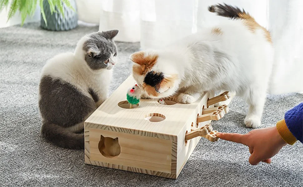 Pet brand owner holding custom electronic laser cat toy manufactured by LeelineToys