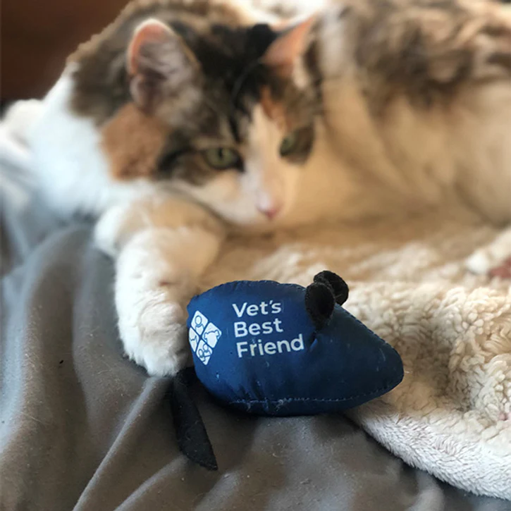 Custom cat toy manufacturing — premium wand teasers, plush catnip toys, scratching posts by LeelineToys
