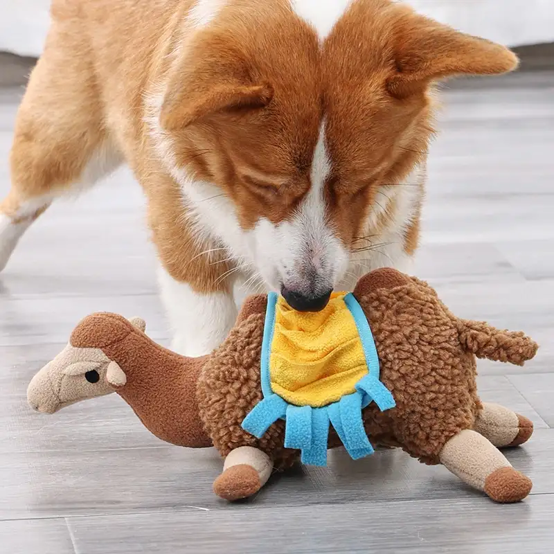 Built to Survive the Toughest Chewers