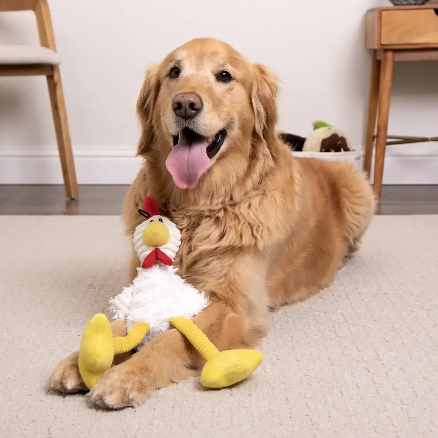 Happy client holding eco-friendly rope dog toy made by LeelineToys