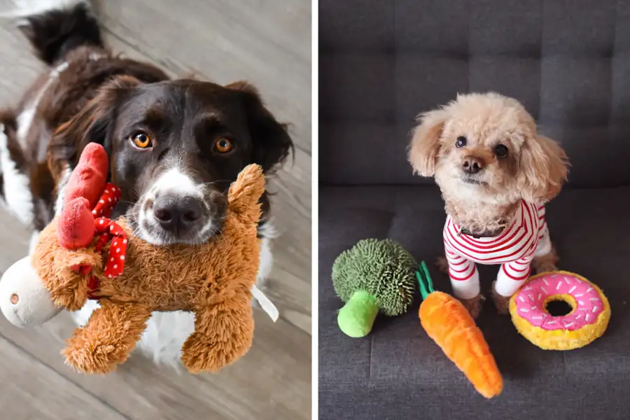 Customer with custom ball fetch dog toy produced by LeelineToys