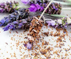 Lavender seeds fill material