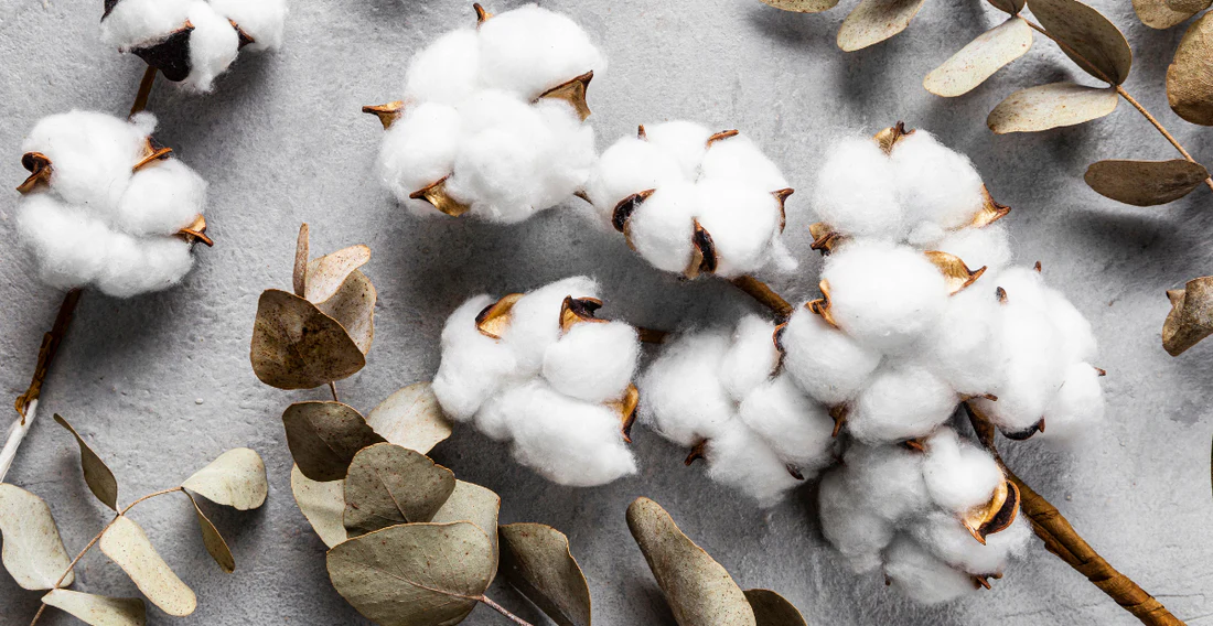 Organic Cotton (GOTS Certified)