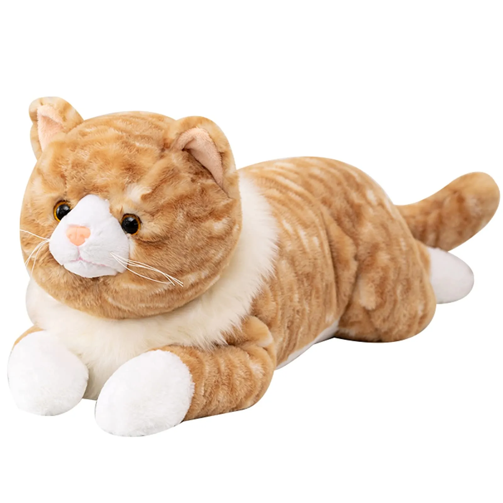 Weighted Cats