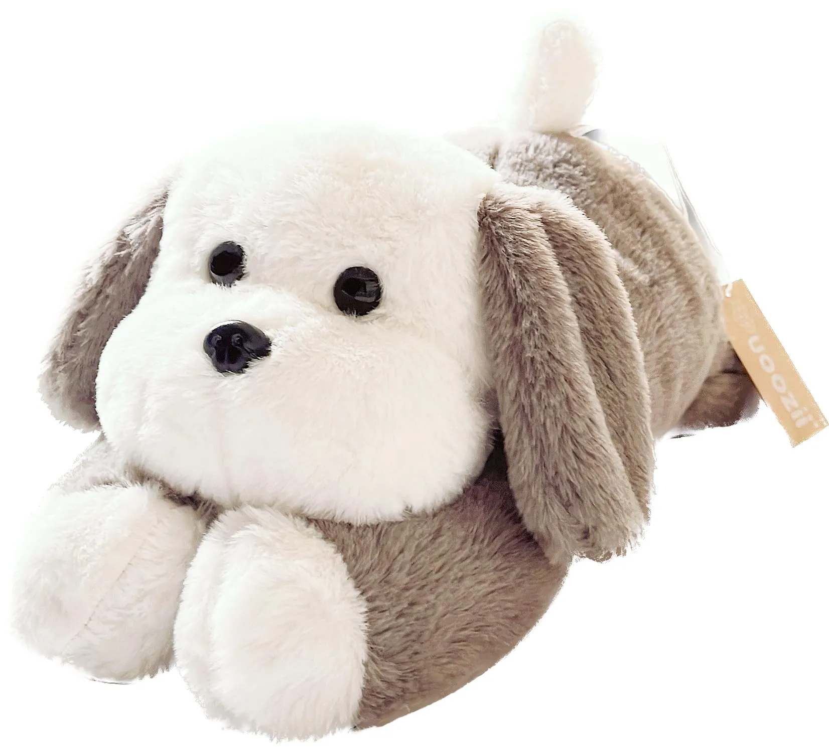 Weighted Dogs
