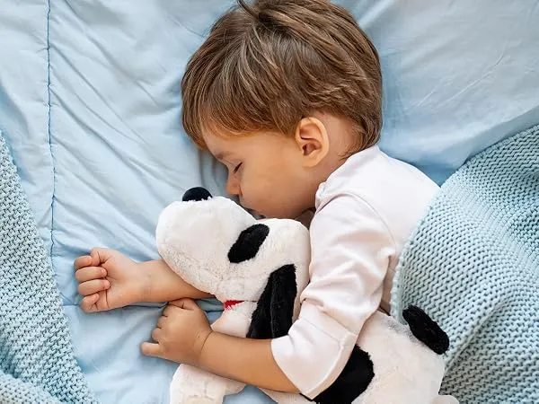 Client holding custom weighted stuffed animal