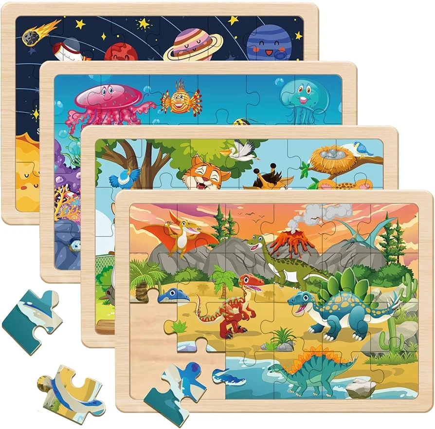 Wooden Puzzles & Brain Teasers