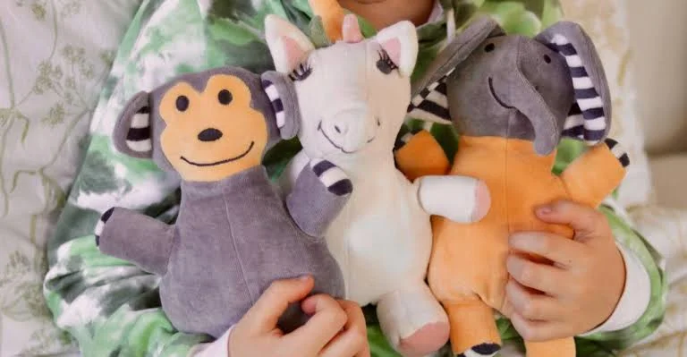 Organic Cotton Canvas — educational toy material