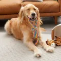 Dog Toys