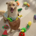 Pet Brands & DTC Sellers