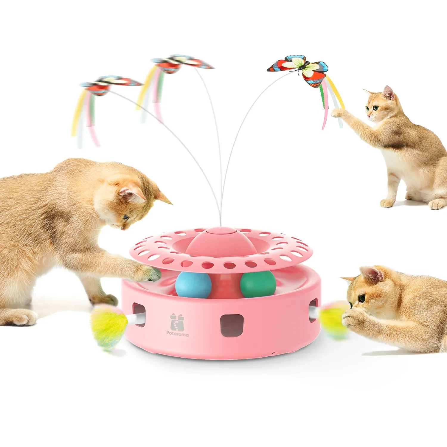 Cat Toys