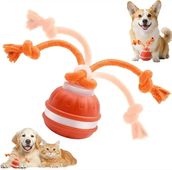 Pet Toys