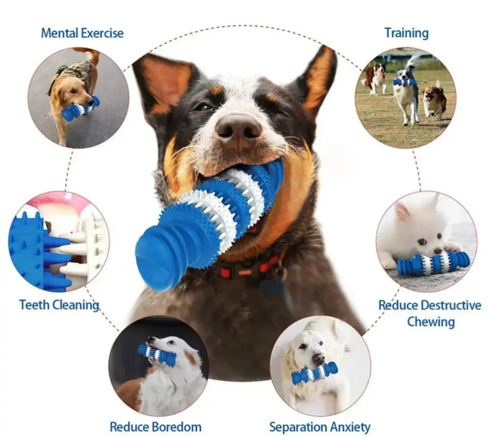 Rubber Chew
